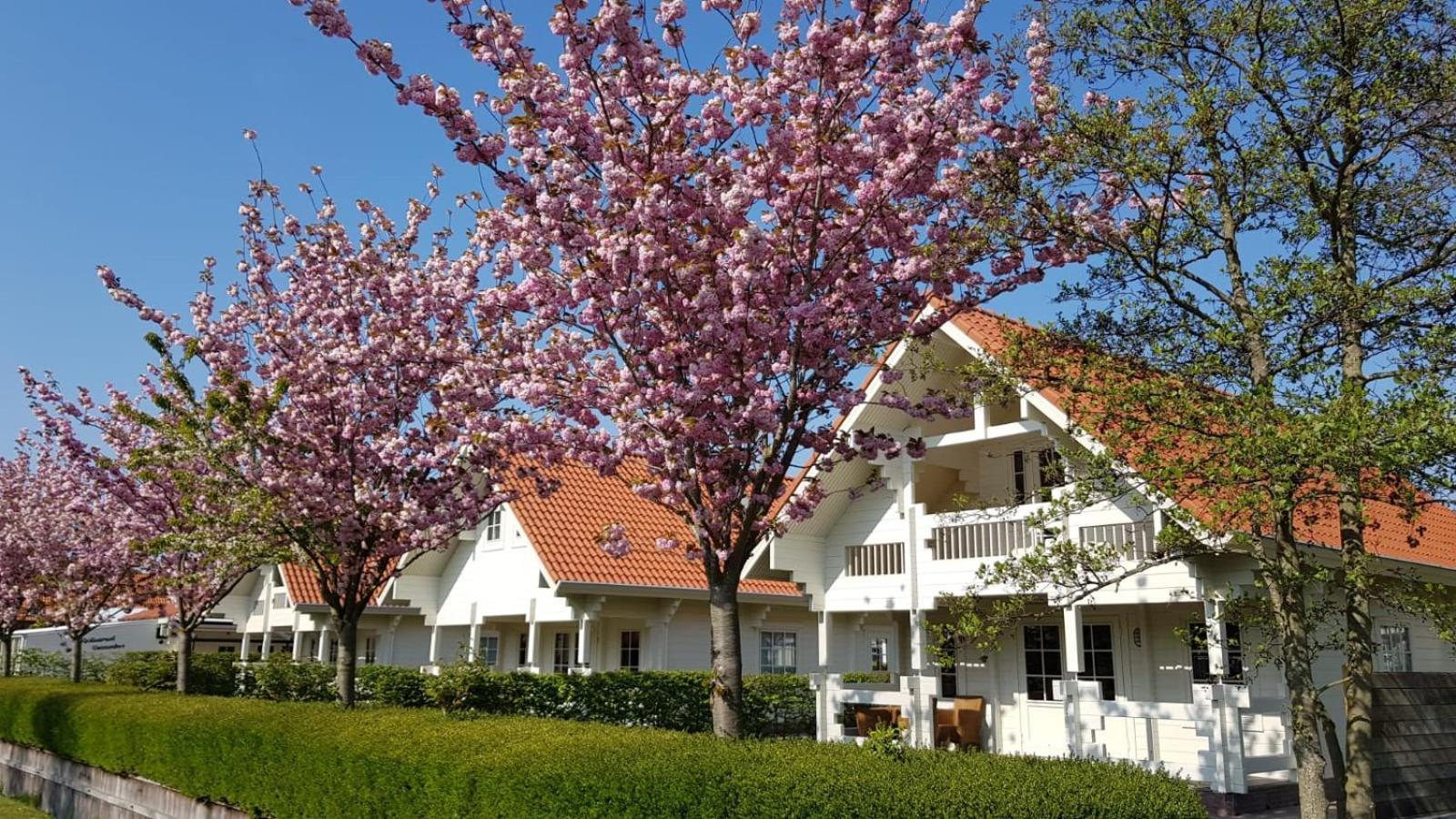 Holiday Park Dennenbos 오스트카펠 외부 사진