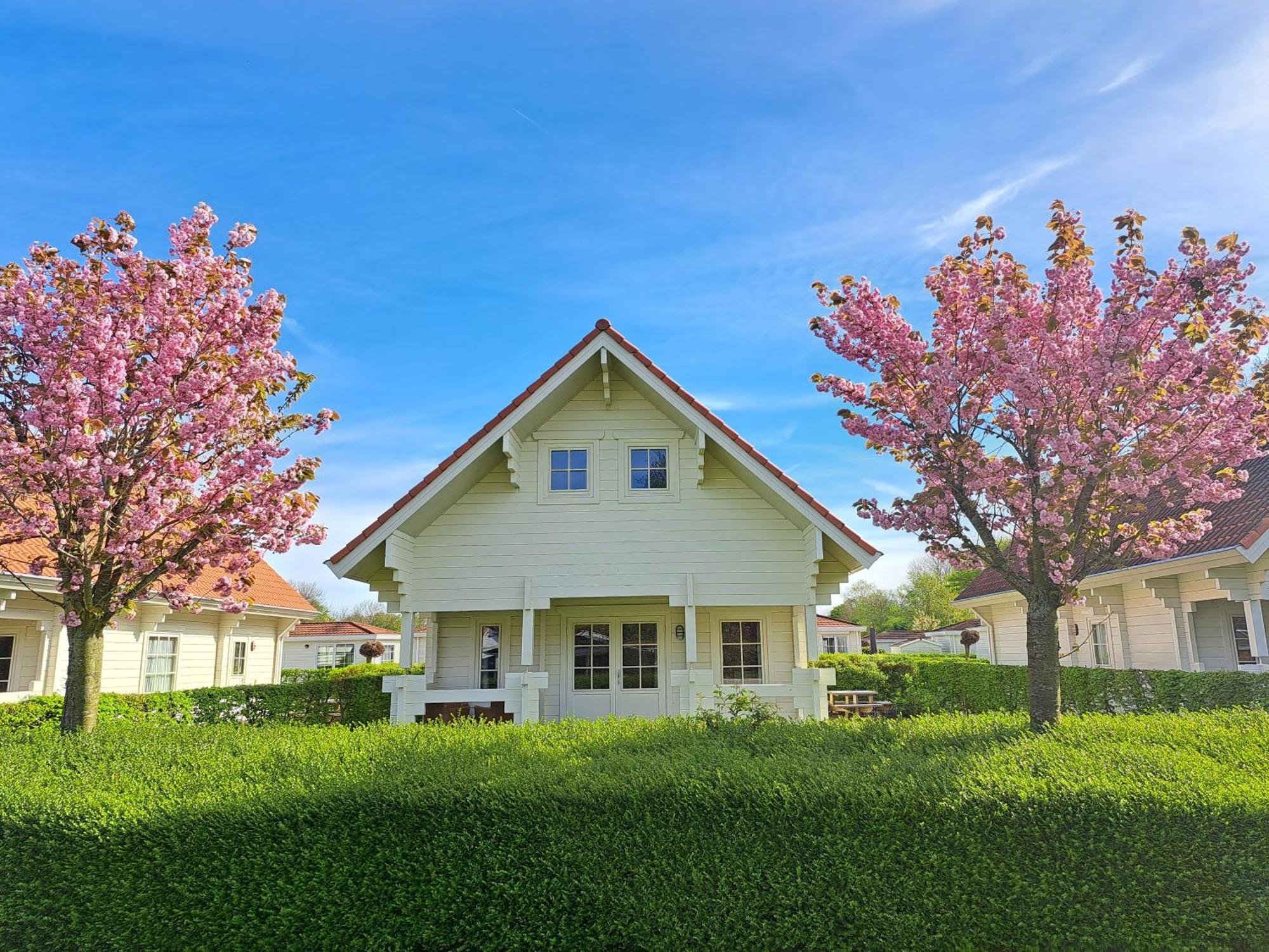 Holiday Park Dennenbos 오스트카펠 외부 사진