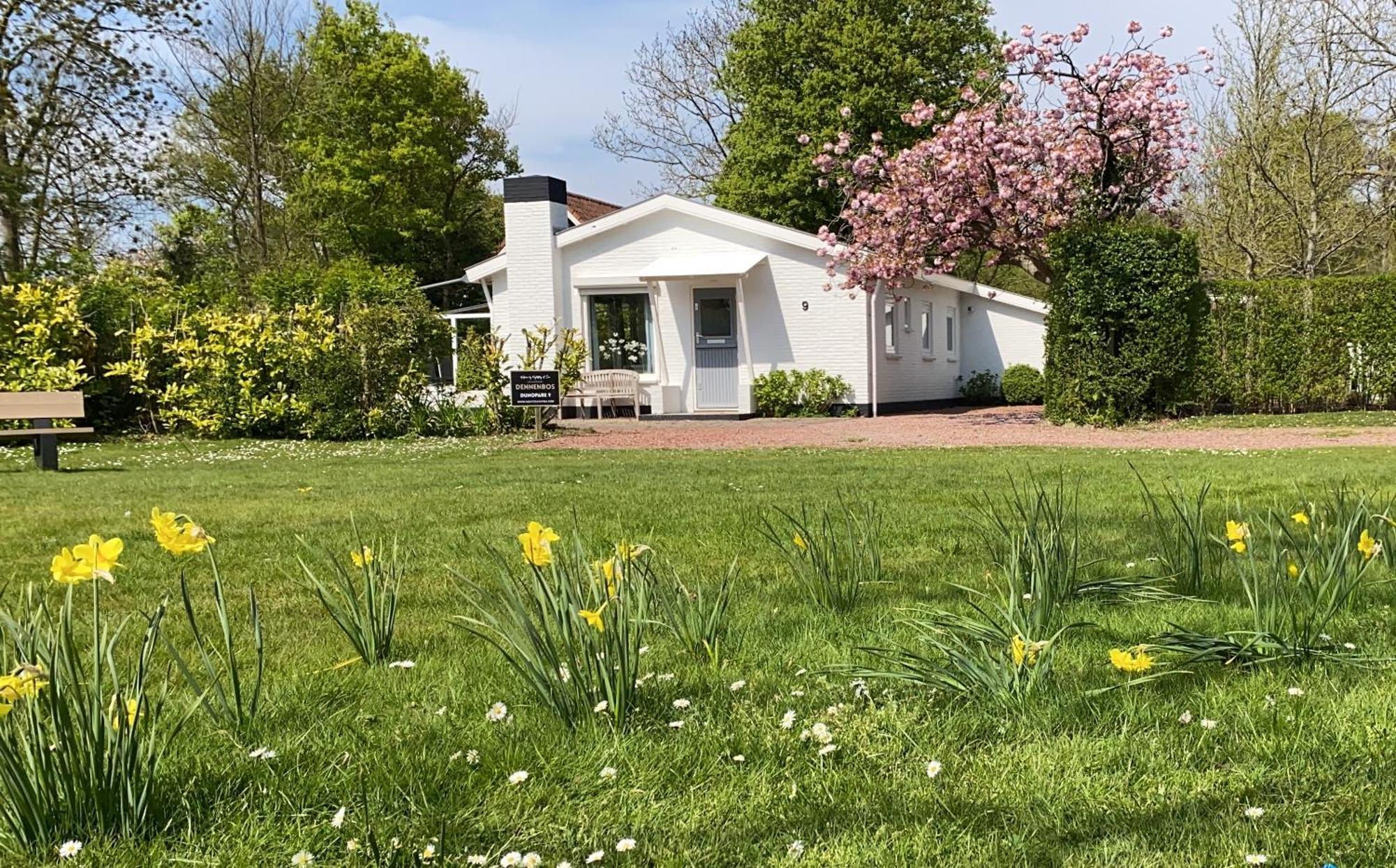 Holiday Park Dennenbos 오스트카펠 외부 사진