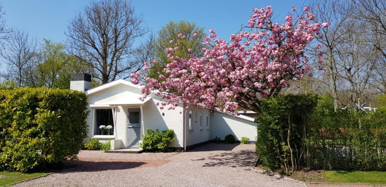 Holiday Park Dennenbos 오스트카펠 외부 사진